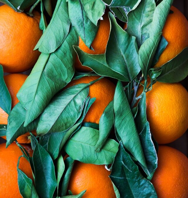 Fresh oranges nestled among vibrant green leaves, symbolizing natural produce and healthy living, relevant to discussions on LLM visibility optimization in the digital landscape.